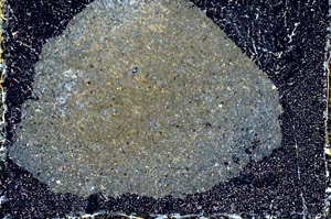 Cross Polarized, S10038