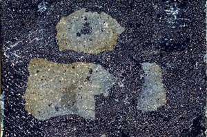 Cross Polarized, S10039