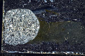 Cross Polarized, S10040