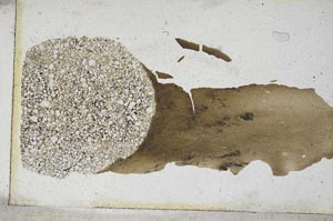 Plane Polarized, S10040