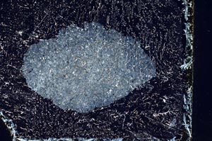 Cross Polarized, S10076