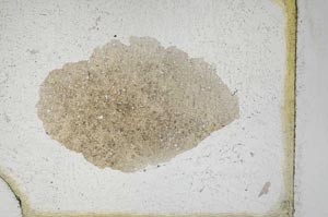 Plane Polarized, S10076