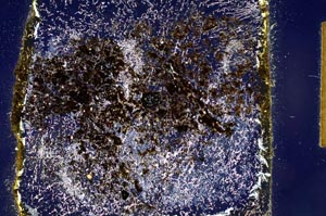 Cross Polarized, S10077