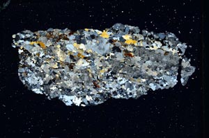 Cross Polarized, S10079