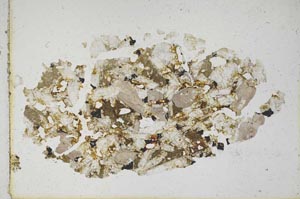 Plane Polarized, S10101