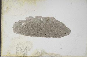 Plane Polarized, S10111
