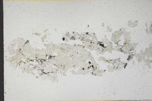 Plane Polarized, S10120