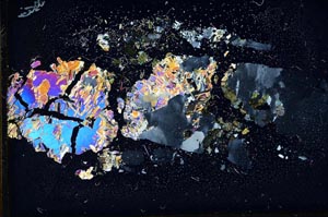 Cross Polarized, S10122