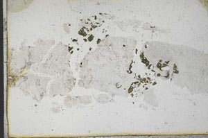 Plane Polarized, S10122