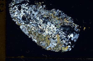 Cross Polarized, S10122/A