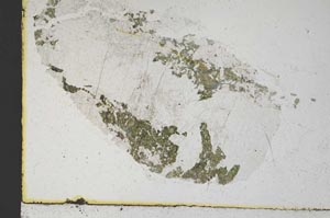 Plane Polarized, S10122/A