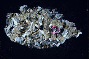 Cross Polarized, S10124