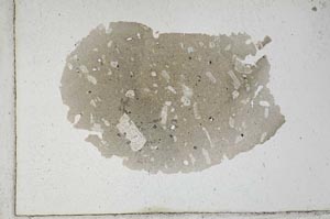 Plane Polarized, S10131