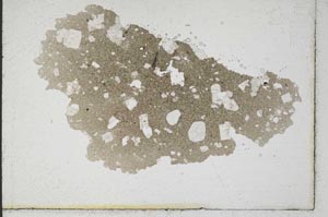 Plane Polarized, S10138