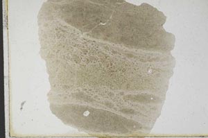 Plane Polarized, S10142