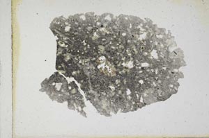 Plane Polarized, S10144