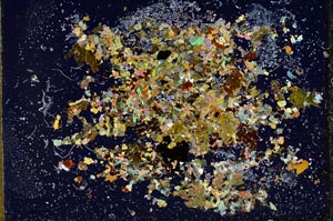 Cross Polarized, S10153