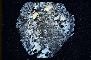 Cross Polarized, S10154