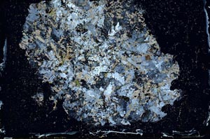 Cross Polarized, S10156