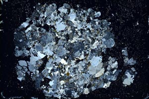 Cross Polarized, S10157