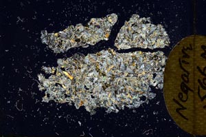 Cross Polarized, S10159