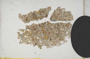 Plane Polarized, S10159