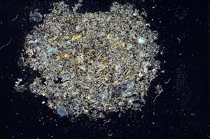 Cross Polarized, S10161