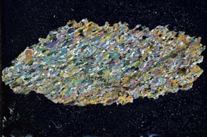 Cross Polarized, S10163