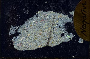 Cross Polarized, S10164