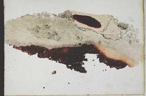 Plane Polarized, S10168