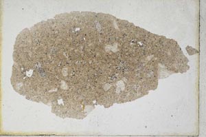 Plane Polarized, S10172