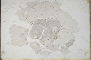 Plane Polarized, S10209