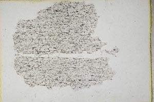 Plane Polarized, S10216