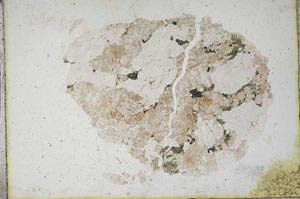 Plane Polarized, S10241