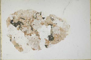 Plane Polarized, S10243