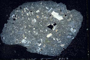 Cross Polarized, S10245