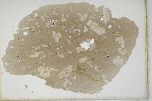 Plane Polarized, S10245