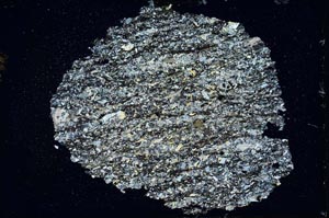 Cross Polarized, S10246