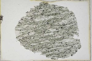 Plane Polarized, S10246