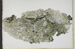 Plane Polarized, S10248