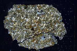 Cross Polarized, S10250