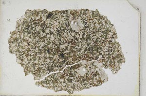 Plane Polarized, S10250