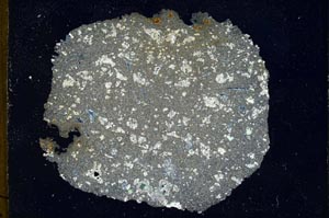 Cross Polarized, S10251