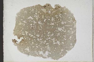 Plane Polarized, S10251