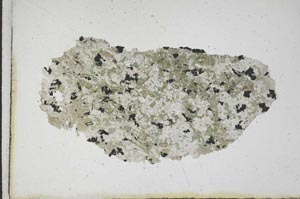 Plane Polarized, S10254