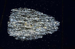 Cross Polarized, S10255