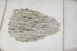 Plane Polarized, S10255