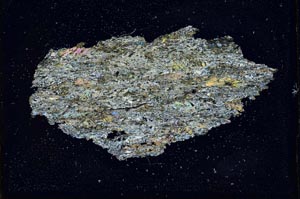 Cross Polarized, S10256