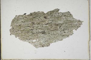 Plane Polarized, S10256