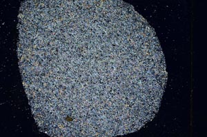 Cross Polarized, S10257